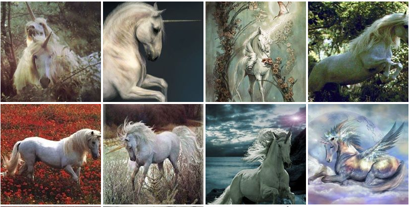 unicorn gallery
